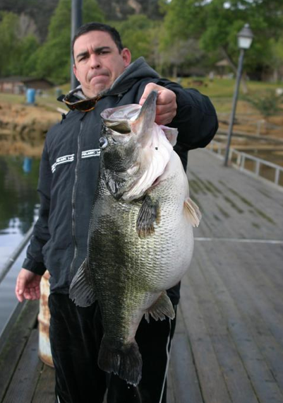 pam on office naked worlds largest large mouth bass